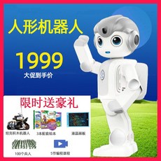 휴머노이드로봇