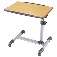 엑토애니데스크