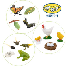 곤충성장피규어