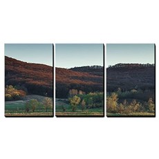 wall26 - 3 Piece Canvas Wall Art - Early Spring Beautiful Land (24" x 16" x 3 Panels Artwork - 06), 본상품, 본상품
