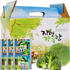 홍미원양배추즙