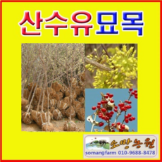 4b36e5598213500f8a2bd8f2cb68b3c5582ba0208c5bfb18bb0cedeab5bc.png