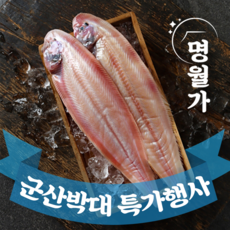 [특가행사] 반건조 군산 박대 서대 말린 생선 구이용 조림용 진공포장, [중] 26~29cm 10마리