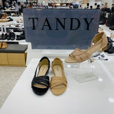 텐디토오픈717097