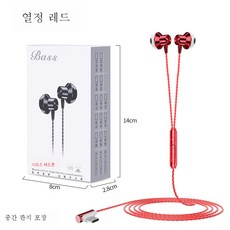 ctype이어폰