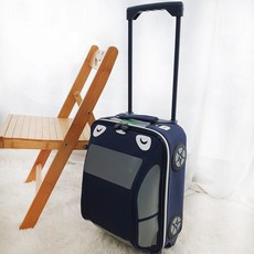 유아캐리어자동차