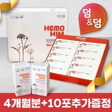 추천10애터미헤모힘