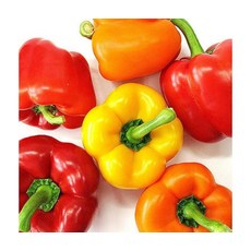 비타민가득 아삭한 국내산 파프리카 5kg, ONE COLOR, ONE SIZE