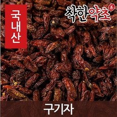 함양농협구기자