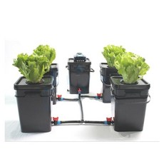dwc101