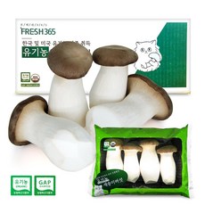 FRESH365 육질단단 식감쫄깃 친환경 유기농 새송이버섯 300g, 10개