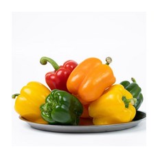 가성비 영양만점 혼합 파프리카 4kg, ONE COLOR, ONE SIZE