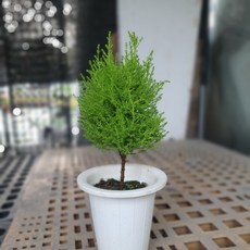 220ebb43c52e76ad35252bfc035b6c1465fb564430cc47ec3e63573404d7.jpg
