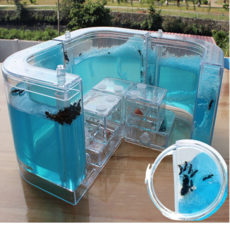 대구개미키우기