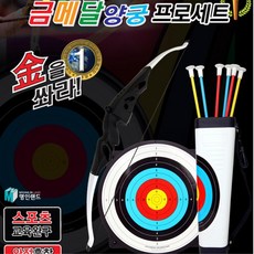 사무실 펍 다트 금메달 양궁프로세트 과녁판 생일선물