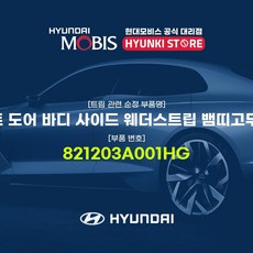 hg웨더스트립