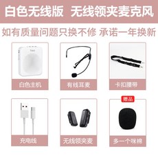 브리츠강사마이크