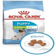 반려견맞춤식재료바이블