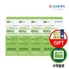 마음치료제