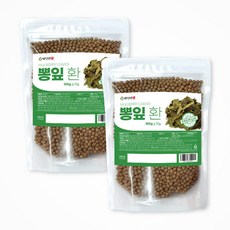 백장생 국산 뽕잎환 상엽환, 300g, 2개, 2개