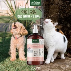 Aniforte 애니포르테 반려동물 오메가 3 연어 오일 250ml, 1개, 10kg, 심장/간