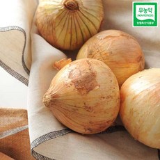 [산지직송] 21년산 고흥 무농약 햇양파 3kg 5kg 10kg (랜덤발송), 1박스, 고흥 무농약 양파 3kg