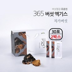 자작나무상황버섯