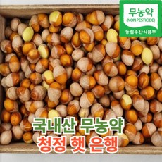 [무농약 청정은행] 국산 햇 깐 토종 국산 생은행 500g 1kg 중 대 특대