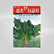 요양원게이트볼