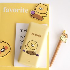 카카오보조배터리20000