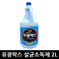 살균 소독제 세정제 유광 락스 2L, 2kg, 6개