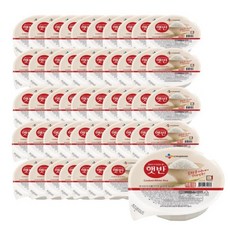 햇반 백미밥, 210g, 48개