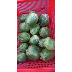 '아작' 머스크 가지, 1개