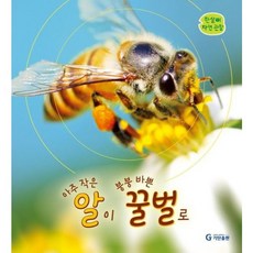 아주 작은 알이 붕붕 경주