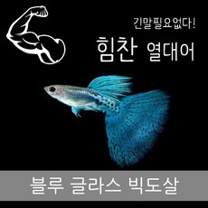 d089ac5183840323fb88ddc58cbe364c58a79520696e2b9bb6343b80f617.jpg