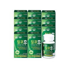 징코후 500mg 혈액순환 은행잎 모세혈관 혈행개선