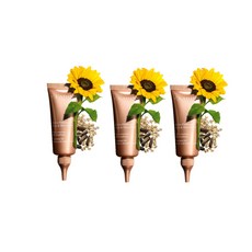 클라랑스 엑스트라 퍼밍 넥크림 75ml x3, 1개