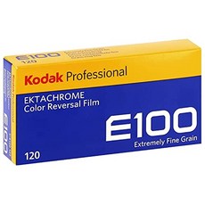 코닥e100