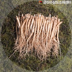 금산인삼 수삼 삼계삼소 무료세척 백숙용 삼계용 업소용 750g, 무료고압세척