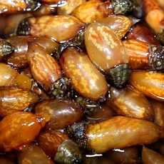 창원 진동 냉동 미더덕1kg, 1개