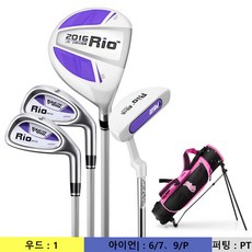 리오아이언주니어