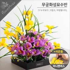 912bff8df6a2344f2d7c79f8ab33536c3bed20094760718df22563f0c0d9.jpg