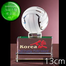 금메달파워캐처