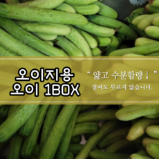 오이제철