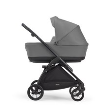 잉글레시나일렉타