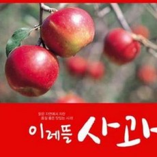 이레뜰세척사과