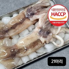 구룡수산 자연산 손질 통오징어 260g(3마리)X7팩/총 21마리, 7개