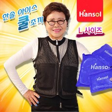 한솔 아이스조끼 등산 쿨조끼 얼음 여름 매쉬 망사 작업용 남자 여성 냉조끼 얼음조끼
