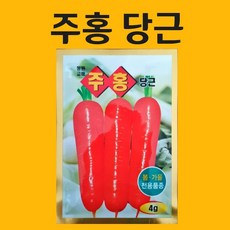 농사친구 주홍당근 씨앗 4g 동원 씨 종자 쪽파 고사리 명이나물 산상추 초당옥수수 항암배추 담배 산마늘 아스파라거스 고수, 1봉