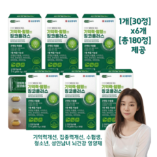 기억력 혈행엔 징코플러스러스, 35정, 6개